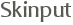 Skinput